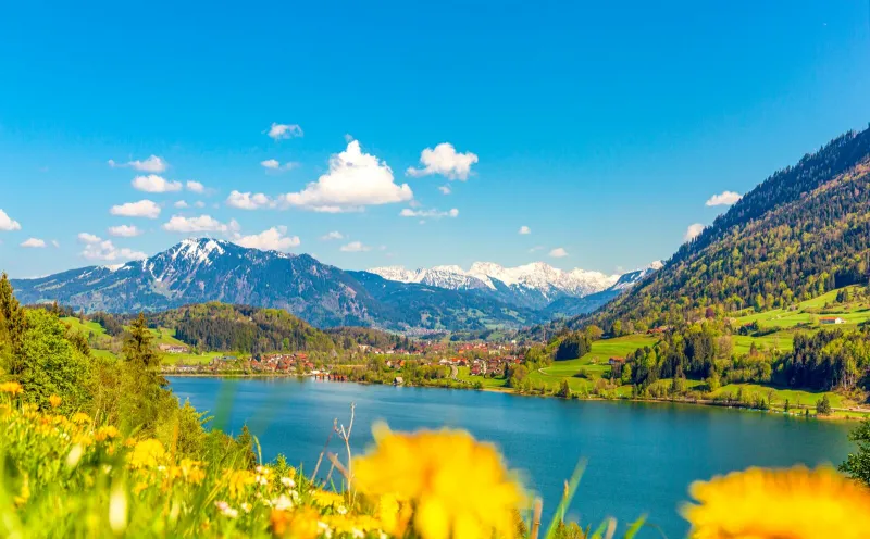 Blick auf den Großen Alpsee