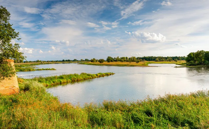 Oderlandschaft bei Küstrin