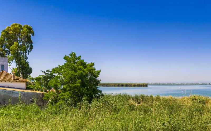 Parc Natural de l'Albufera