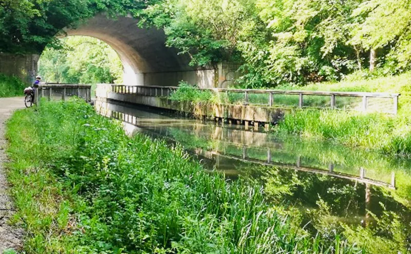 Ludwig-Donau-Main-Kanal