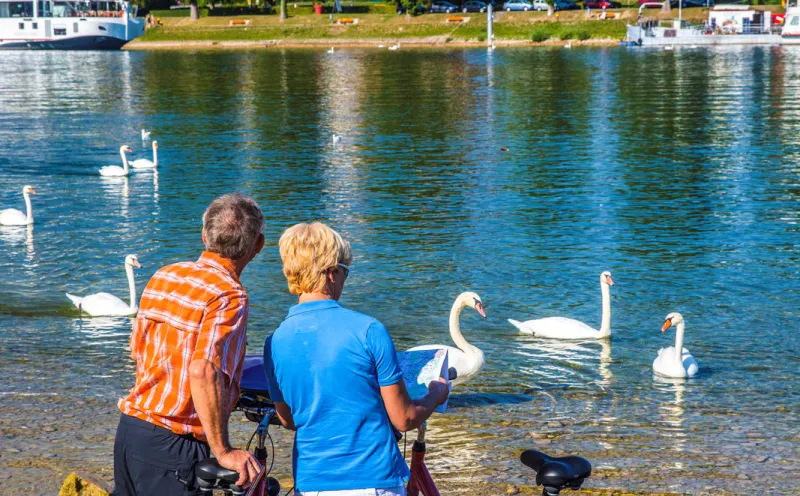 Breisach, Rhein