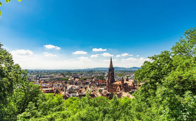 Freiburg, Münster