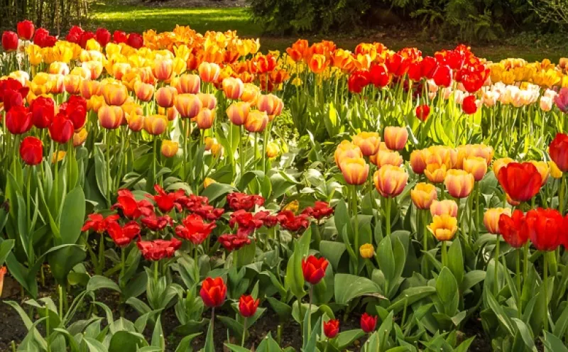 Mainau Bodensee