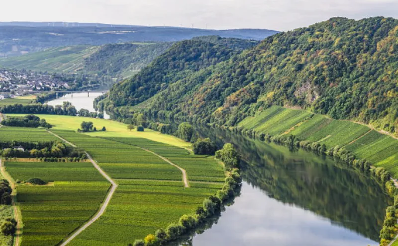 Mosel, Neumagen-Dhron