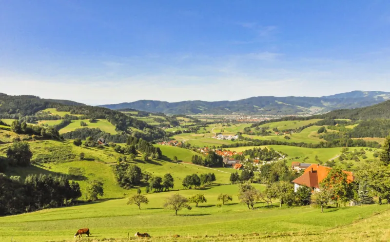 Landschaft Oberried