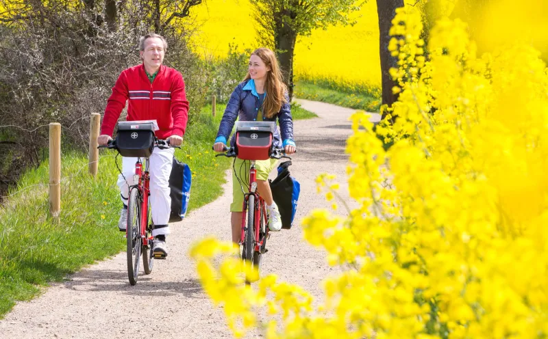 Radler, Nordfriesland, Raps, Radweg