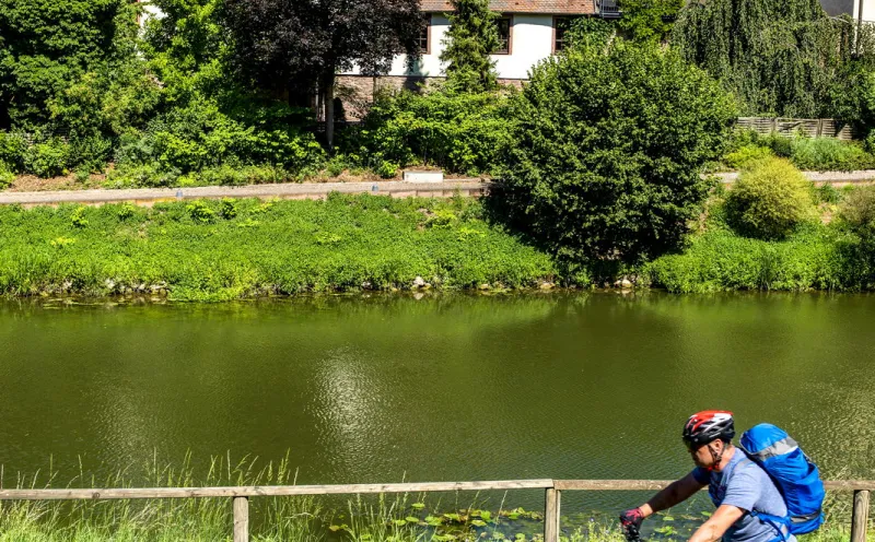 Wertheim, Radfahrer, Main