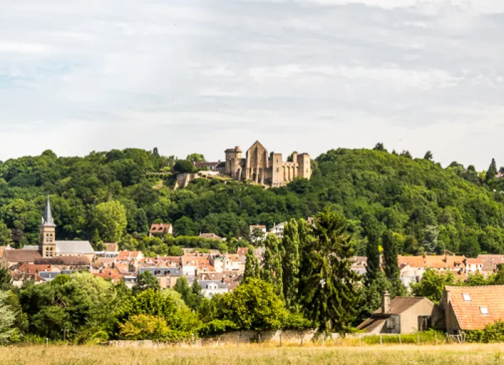 Chateau de la madeleine