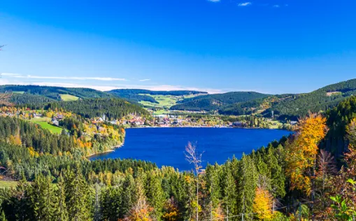 Radreisen im Schwarzwald