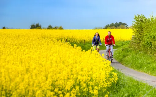 Radreisen in Niedersachsen und Nordrhein-Westfalen