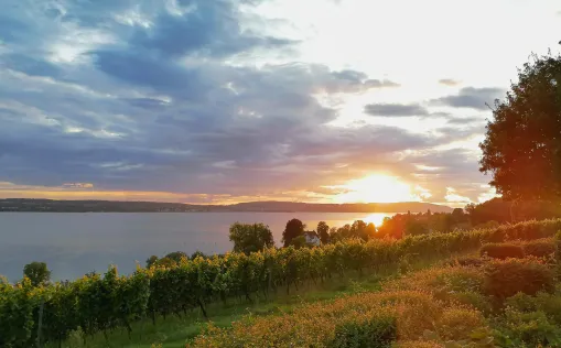 Sonnenuntergang am Bodensee