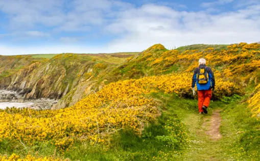 Wanderreise im wildromantischen Wales