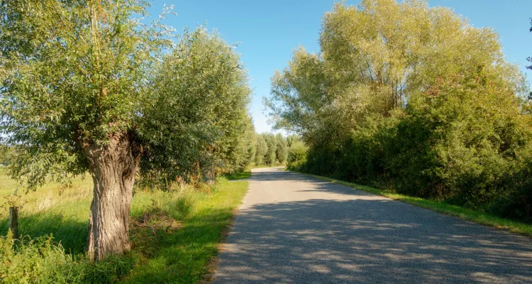 Radweg Boltenhagen