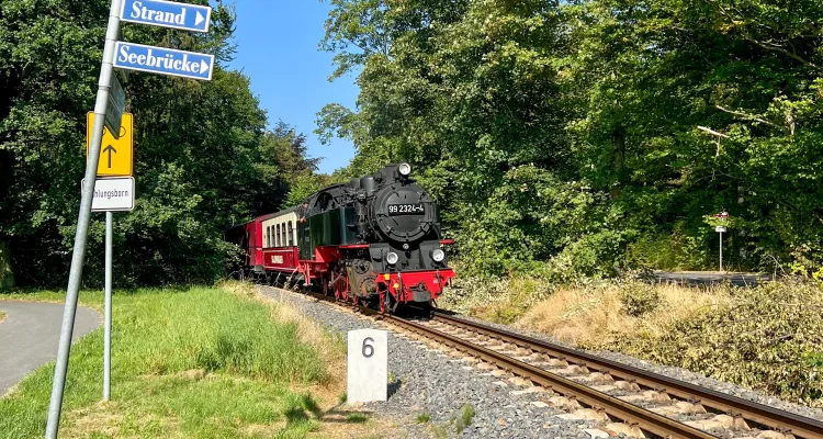 Bahnfahrt mit der Molly