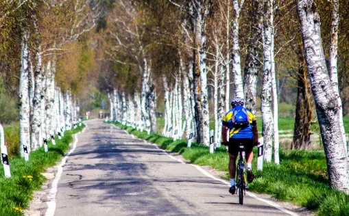 Der Donau-Bodensee-Radweg