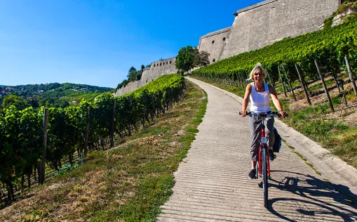 Main-Radtour von Würzburg nach Mainz