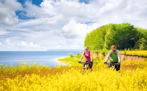 Radtour in Schleswig-Holstein für Sportliche