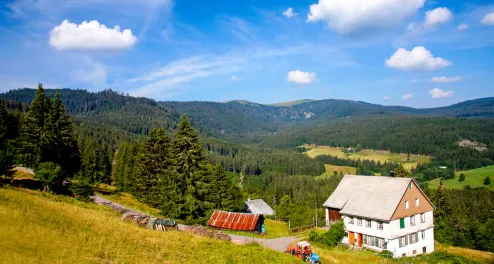 Der Süd-Schwarzwald-Radweg